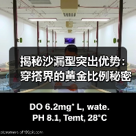 揭秘沙漏型突出优势:穿搭界的黄金比例秘密(图3) 揭秘沙漏型突出优势:穿搭界的黄金比例秘密(图3)