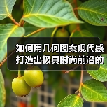 如何用几何图案现代感打造出极具时尚前沿的穿搭趋势（图4）