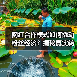 网红合作模式如何撬动粉丝经济？揭秘真实转化密码（图1）