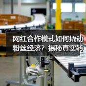 网红合作模式如何撬动粉丝经济？揭秘真实转化密码（图3）