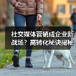 社交媒体营销成企业新战场？高转化秘诀揭秘（图2）
