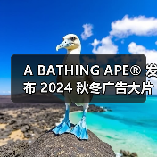 A BATHING APE® 发布 2024 秋冬广告大片(图1) A BATHING APE® 发布 2024 秋冬广告大片(图1)