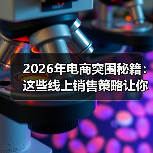 2026年电商突围秘籍：这些线上销售策略让你销量翻倍（图4）
