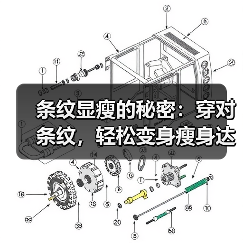 条纹显瘦的秘密:穿对条纹,轻松变身瘦身达人(图4) 条纹显瘦的秘密:穿对条纹,轻松变身瘦身达人(图4)