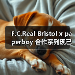 F.C.Real Bristol x paperboy 合作系列现已登场(图1) F.C.Real Bristol x paperboy 合作系列现已登场(图1)