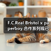 F.C.Real Bristol x paperboy 合作系列现已登场(图3) F.C.Real Bristol x paperboy 合作系列现已登场(图3)