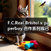 F.C.Real Bristol x paperboy 合作系列现已登场(图4) F.C.Real Bristol x paperboy 合作系列现已登场(图4)