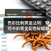 色彩比例黄金法则：穿搭中的黄金配色秘籍解析（图3）
