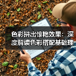 色彩拼出惊艳效果：深度解读色彩搭配基础理论（图2）