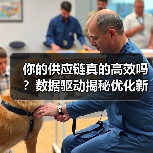 你的供应链真的高效吗？数据驱动揭秘优化新趋势（图2）