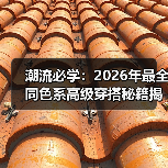 潮流必学：2026年最全同色系高级穿搭秘籍揭秘（图3）