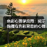 色彩心理学应用：揭示隐藏在色彩背后的心理密码（图2）