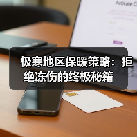 极寒地区保暖策略：拒绝冻伤的终极秘籍（图1）