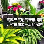 高温天气透气穿搭指南:打造清凉一夏的秘密武器(图2) 高温天气透气穿搭指南:打造清凉一夏的秘密武器(图2)