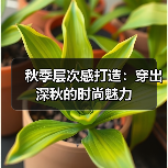秋季层次感打造：穿出深秋的时尚魅力（图4）