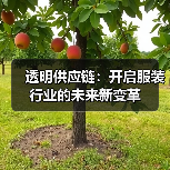 透明供应链:开启服装行业的未来新变革(图3) 透明供应链:开启服装行业的未来新变革(图3)