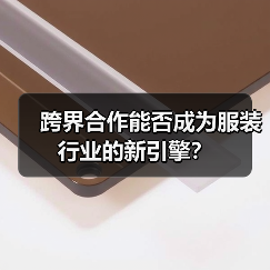 跨界合作能否成为服装行业的新引擎?(图1) 跨界合作能否成为服装行业的新引擎?(图1)