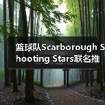 篮球队Scarborough Shooting Stars联名推出训练服(图2) 篮球队Scarborough Shooting Stars联名推出训练服(图2)