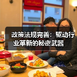 政策法规完善：驱动行业革新的秘密武器