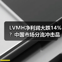 LVMH净利润大跌14%?中国市场分流冲击品牌利润(图1) LVMH净利润大跌14%?中国市场分流冲击品牌利润(图1)