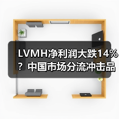 LVMH净利润大跌14%?中国市场分流冲击品牌利润(图4) LVMH净利润大跌14%?中国市场分流冲击品牌利润(图4)