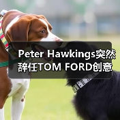 Peter Hawkings突然辞任TOM FORD创意总监引猜测(图1) Peter Hawkings突然辞任TOM FORD创意总监引猜测(图1)