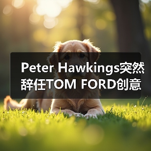Peter Hawkings突然辞任TOM FORD创意总监引猜测(图3) Peter Hawkings突然辞任TOM FORD创意总监引猜测(图3)