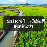 全球化协作：打破边界的创新动力（图1）