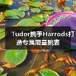 Tudor携手Harrods打造专属限量腕表(图4) Tudor携手Harrods打造专属限量腕表(图4)