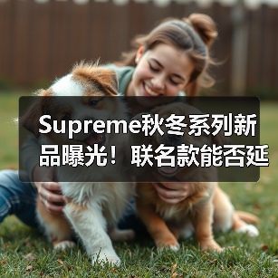 Supreme秋冬系列新品曝光！联名款能否延续品牌风格？（图3）