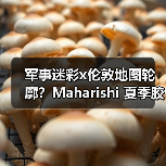 军事迷彩x伦敦地图轮廓?Maharishi 夏季胶囊系列设计亮点揭秘(图2) 军事迷彩x伦敦地图轮廓?Maharishi 夏季胶囊系列设计亮点揭秘(图2)