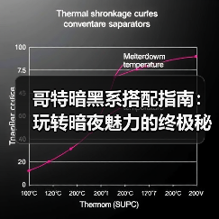 哥特暗黑系搭配指南：玩转暗夜魅力的终极秘籍（图3）