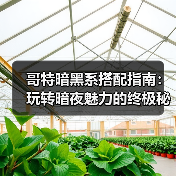 哥特暗黑系搭配指南：玩转暗夜魅力的终极秘籍（图2）
