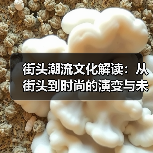 街头潮流文化解读：从街头到时尚的演变与未来趋势（图1）