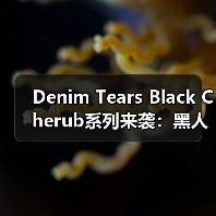 Denim Tears Black Cherub系列来袭:黑人文化与种族肤色的时尚演绎(图3) Denim Tears Black Cherub系列来袭:黑人文化与种族肤色的时尚演绎(图3)