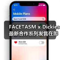 FACETASM x Dickies 最新合作系列发售在即(图4) FACETASM x Dickies 最新合作系列发售在即(图4)