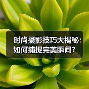 时尚摄影技巧大揭秘:如何捕捉完美瞬间?(图2) 时尚摄影技巧大揭秘:如何捕捉完美瞬间?(图2)