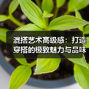 混搭艺术高级感：打造穿搭的极致魅力与品味（图2）