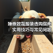 臻雅致裁服装选购指南：实用技巧与常见问题解析