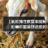 【氨纶弹性恢复率揭秘：影响你服装舒适度的核心指标】（图4）
