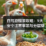 自驾游服装攻略：5大安全注意事项与分层穿衣法（图4）