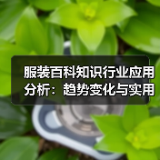 服装百科知识行业应用分析：趋势变化与实用方法（图2）